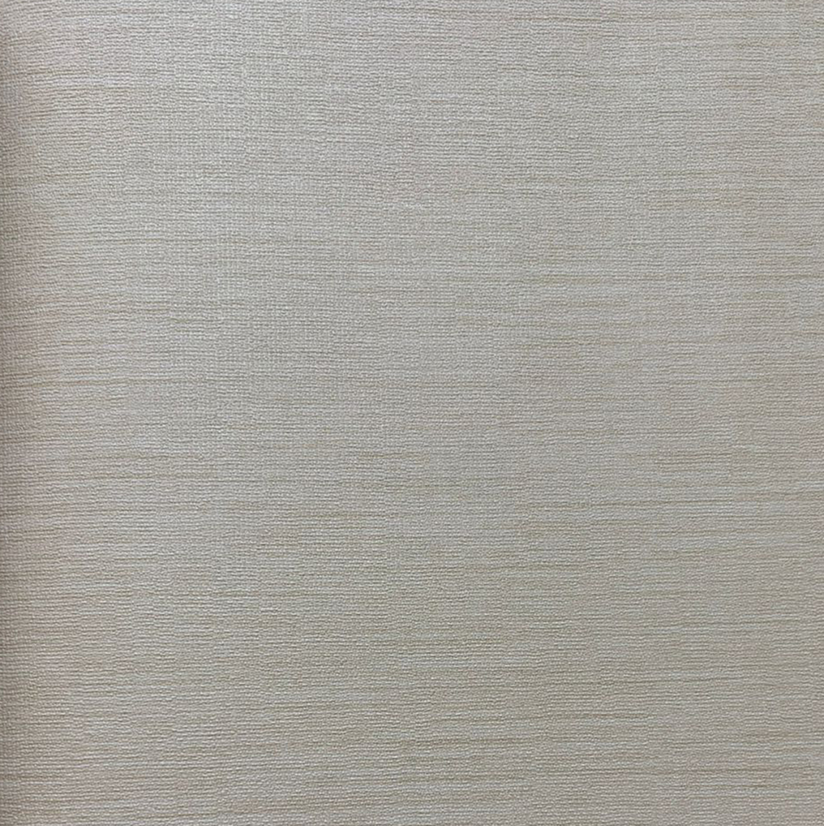 Infinity - B1151101